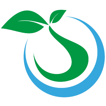 金毛囊植发