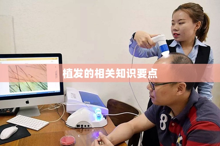 植发的相关知识要点