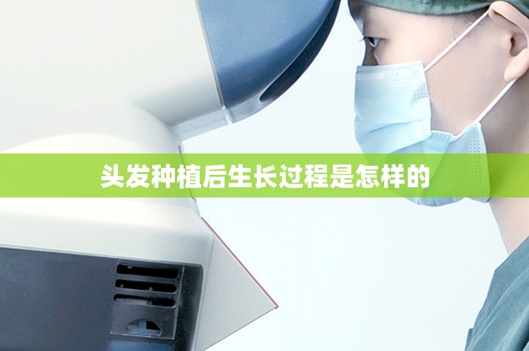 头发种植后生长过程是怎样的