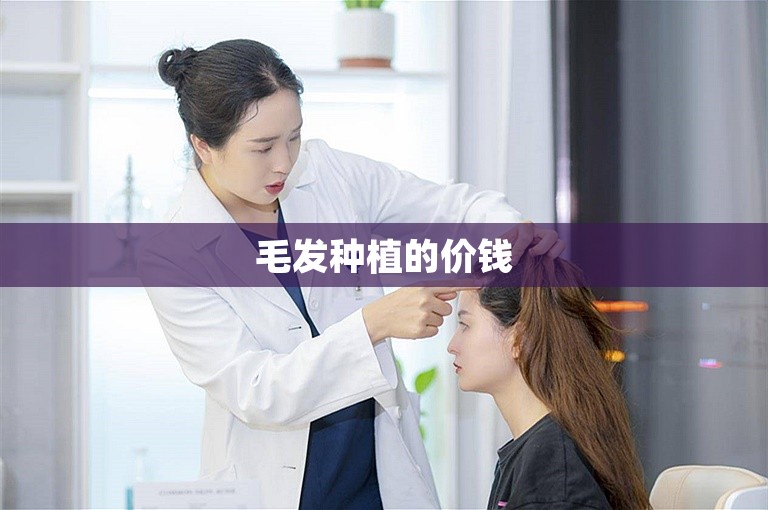 毛发种植的价钱