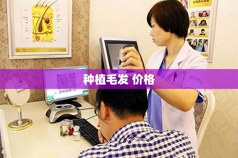 种植毛发 价格