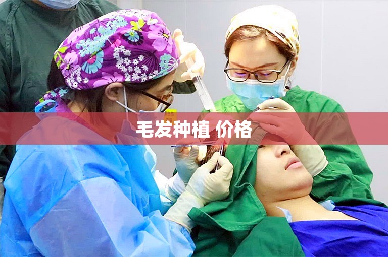 毛发种植 价格