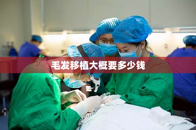 毛发移植大概要多少钱