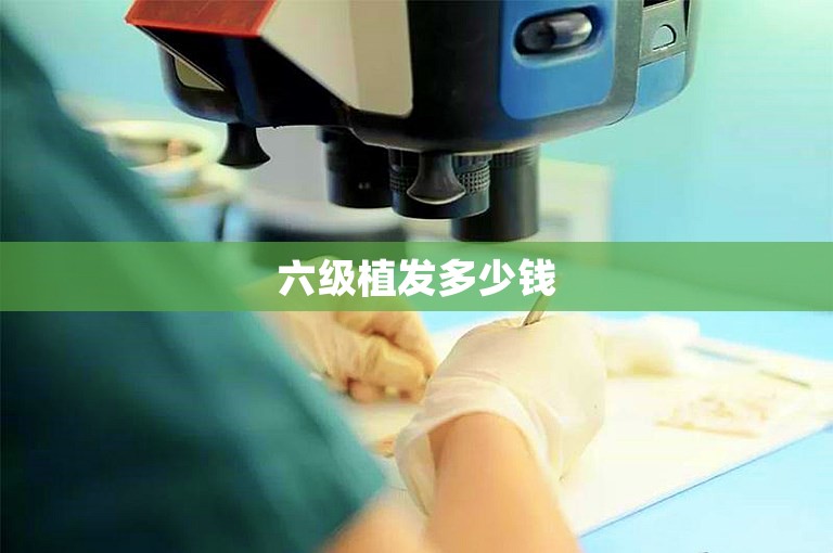 六级植发多少钱