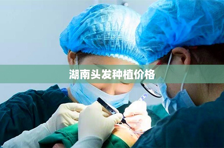 湖南头发种植价格