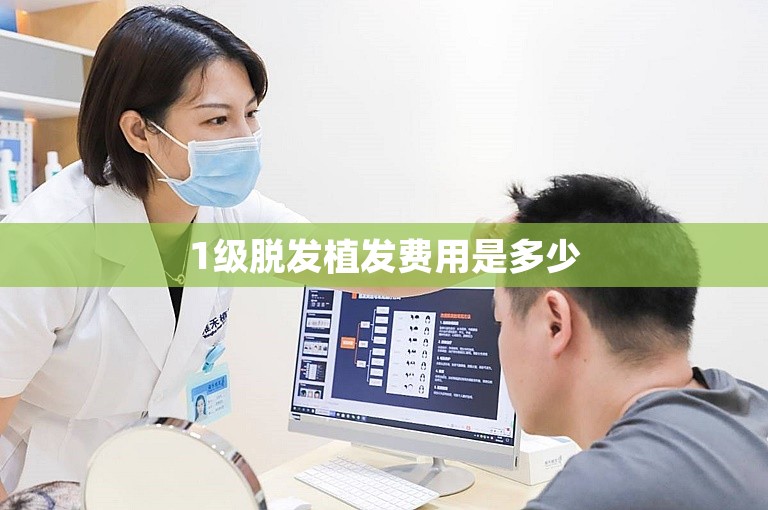 1级脱发植发费用是多少 1级脱发植发费用是多少