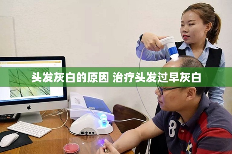 头发灰白的原因 治疗头发过早灰白