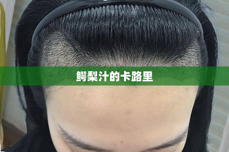 鳄梨汁的卡路里