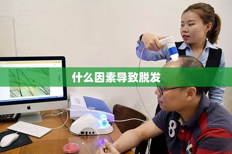 什么因素导致脱发