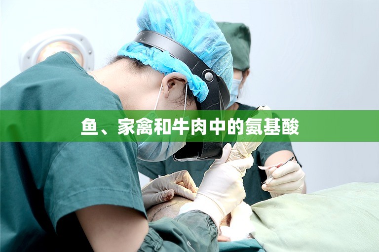 鱼、家禽和牛肉中的氨基酸 鱼、家禽和牛肉中的氨基酸