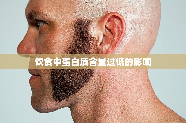 饮食中蛋白质含量过低的影响 饮食中蛋白质含量过低的影响