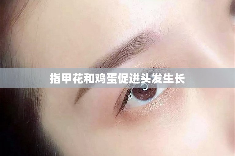指甲花和鸡蛋促进头发生长