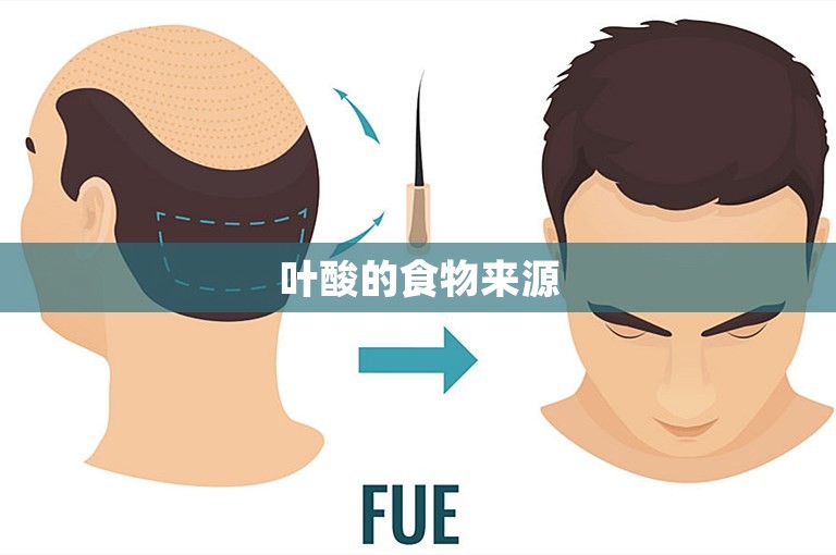 叶酸的食物来源