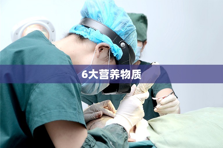 6大营养物质 6大营养物质