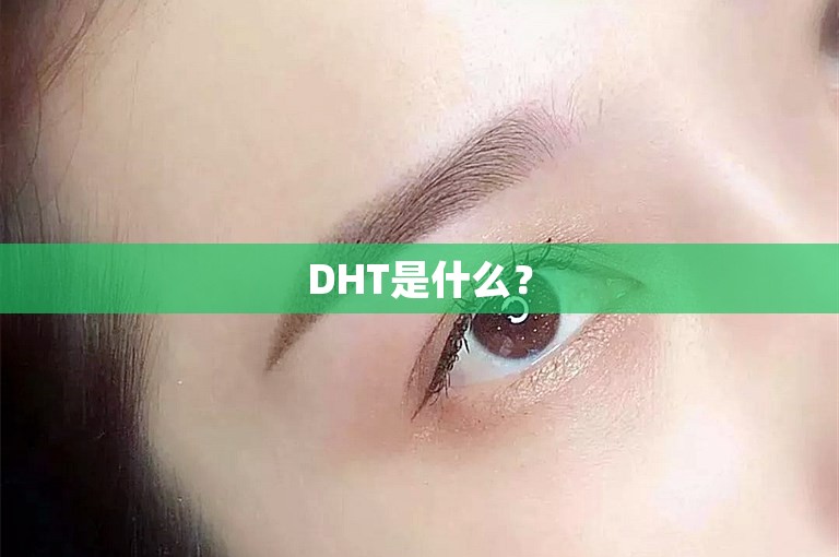 DHT是什么? DHT是什么?