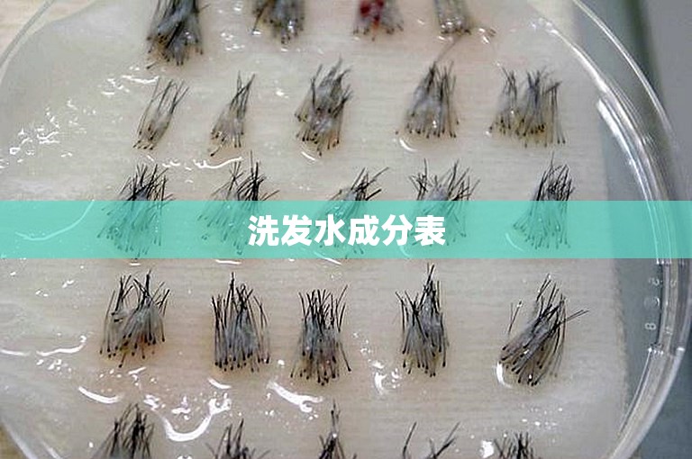 洗发水成分表