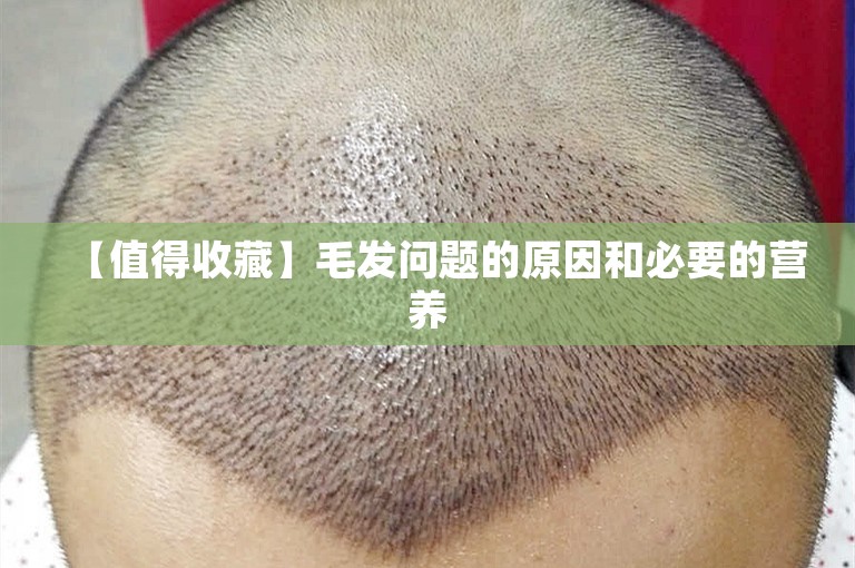 【值得收藏】毛发问题的原因和必要的营养