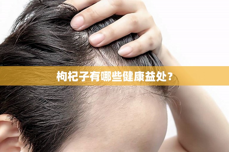 枸杞子有哪些健康益处？