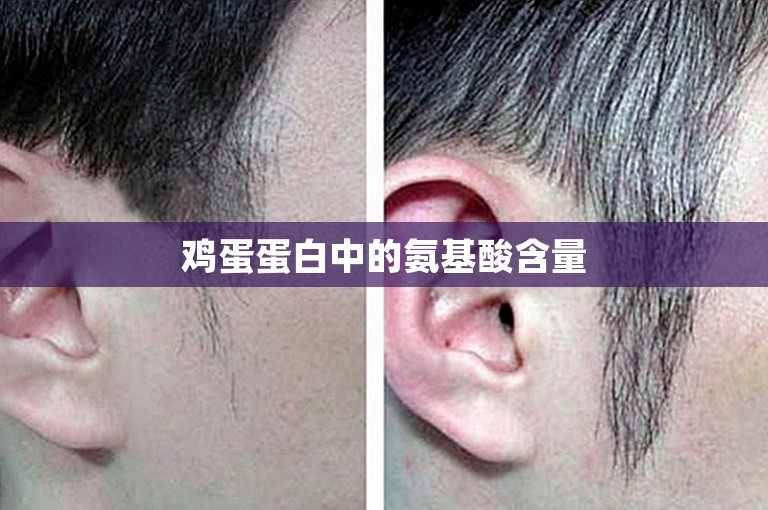 鸡蛋蛋白中的氨基酸含量 鸡蛋蛋白中的氨基酸含量