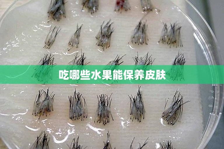 吃哪些水果能保养皮肤