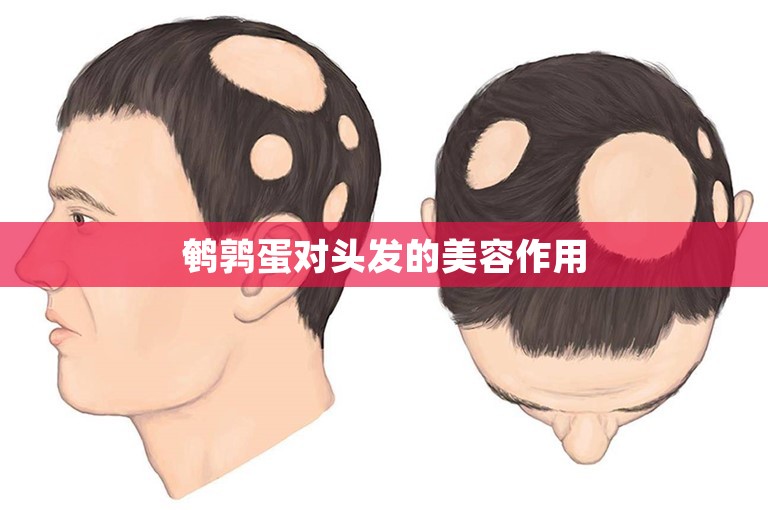 鹌鹑蛋对头发的美容作用 鹌鹑蛋对头发的美容作用