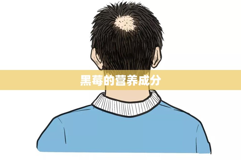 黑莓的营养成分 黑莓的营养成分