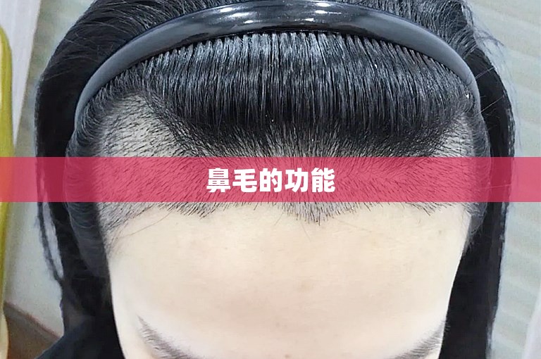 鼻毛的功能