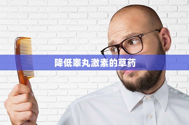 降低睾丸激素的草药