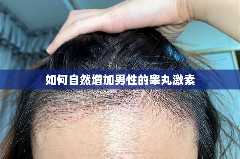 如何自然增加男性的睾丸激素