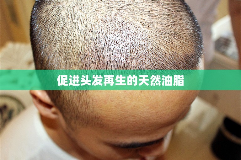 促进头发再生的天然油脂