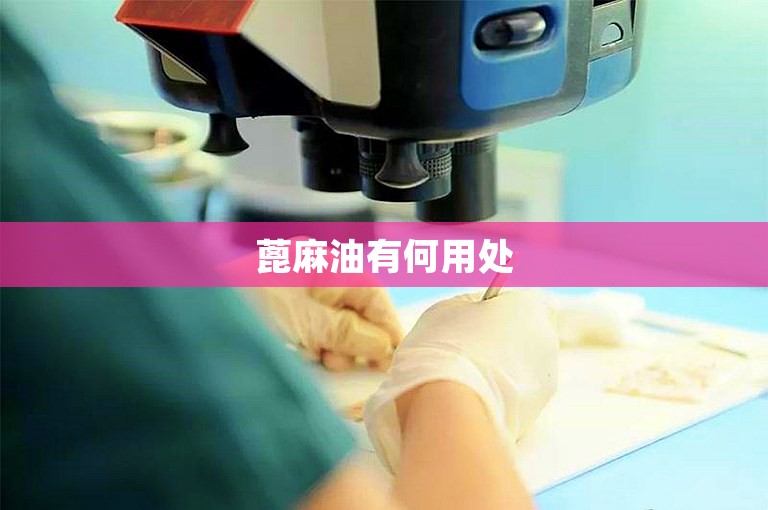 蓖麻油有何用处