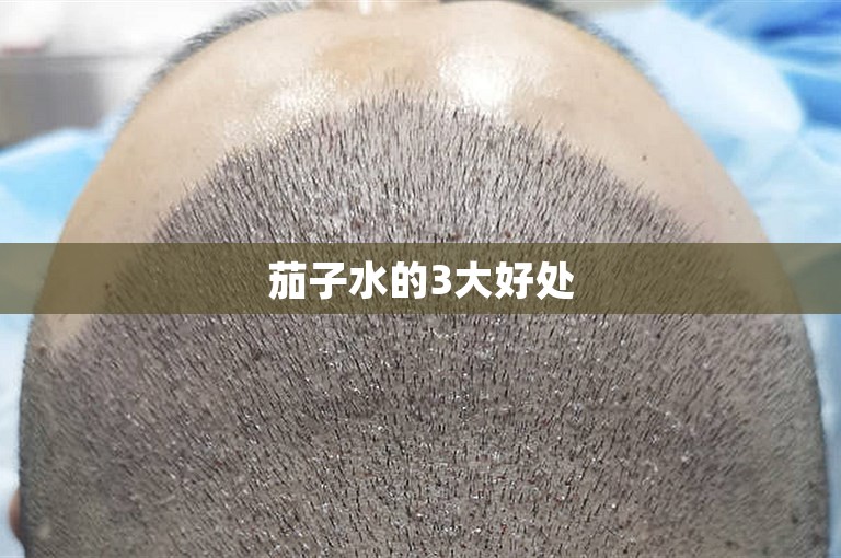 茄子水的3大好处