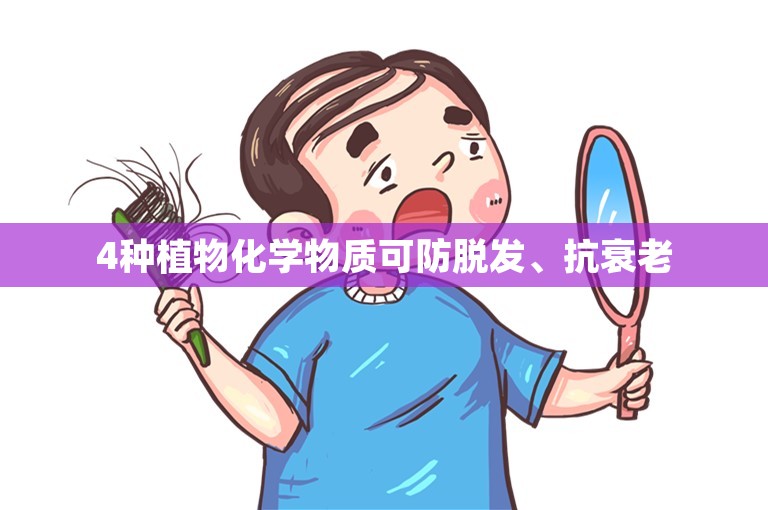 4种植物化学物质可防脱发、抗衰老