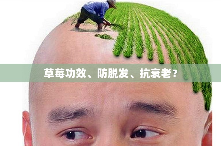 草莓功效、防脱发、抗衰老？