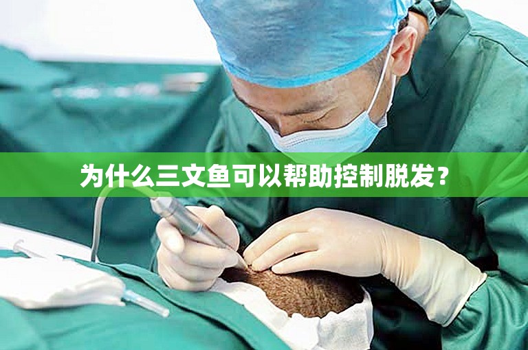 为什么三文鱼可以帮助控制脱发？