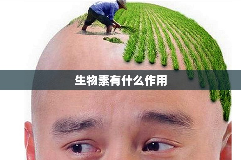 生物素有什么作用
