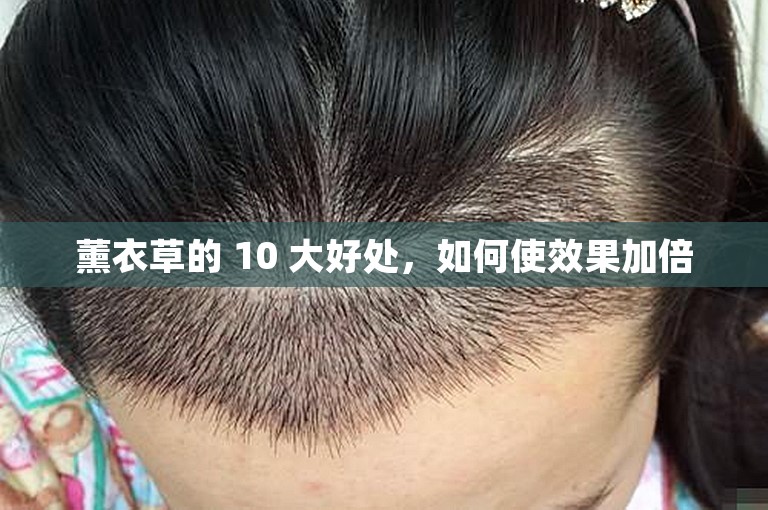薰衣草的 10 大好处，如何使效果加倍