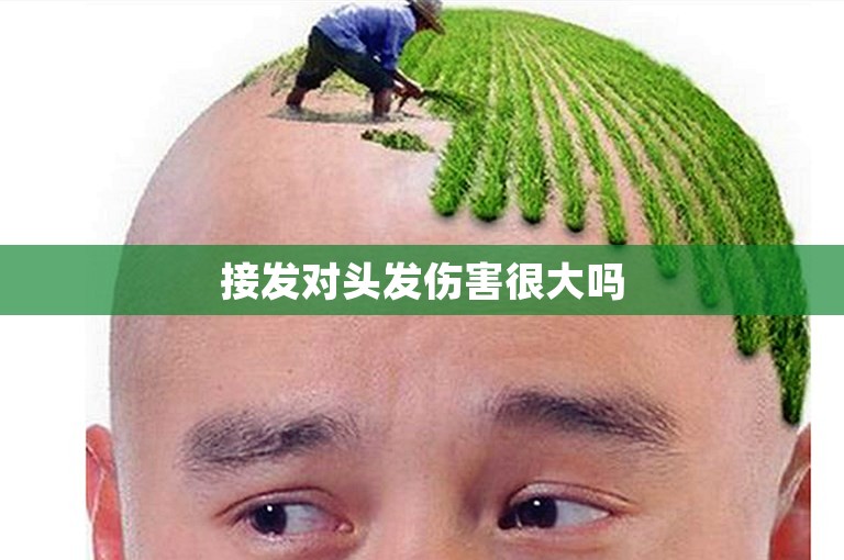 接发对头发伤害很大吗 接发对头发伤害很大吗