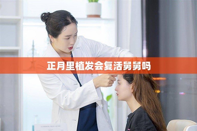 正月里植发会复活舅舅吗