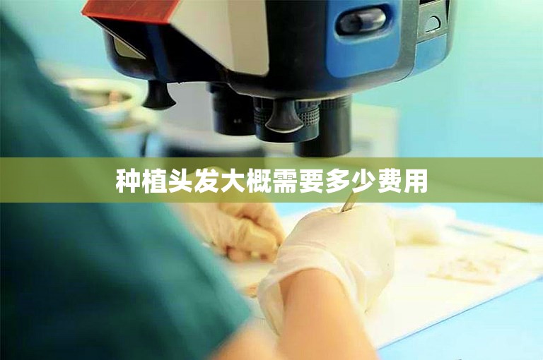 种植头发大概需要多少费用