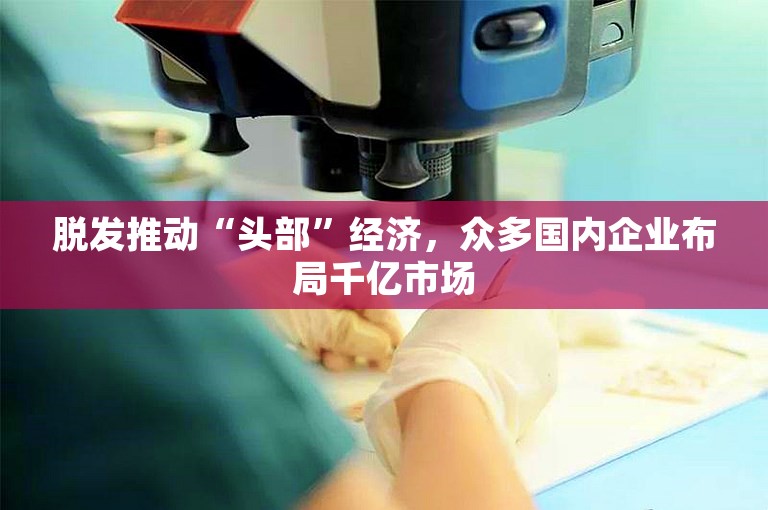 脱发推动“头部”经济,众多国内企业布局千亿市场 脱发推动“头部”经济,众多国内企业布局千亿市场