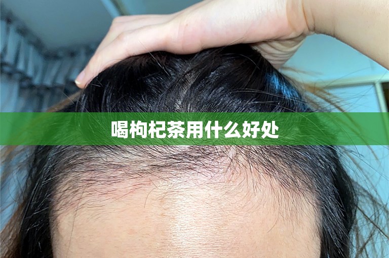 喝枸杞茶用什么好处