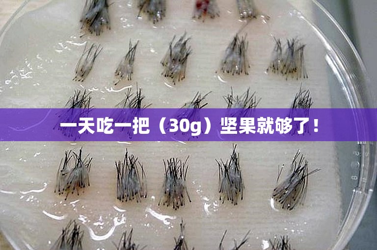 一天吃一把（30g）坚果就够了！