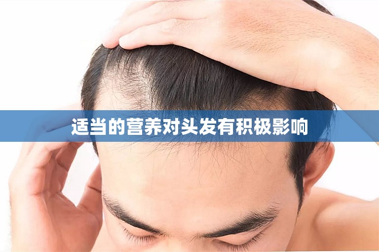 适当的营养对头发有积极影响 适当的营养对头发有积极影响