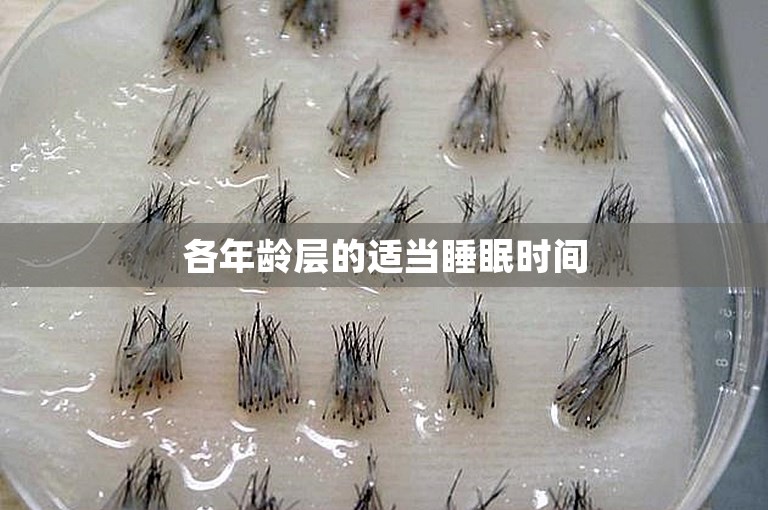 各年龄层的适当睡眠时间