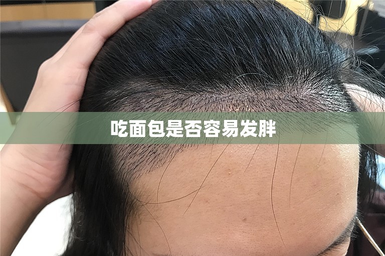 吃面包是否容易发胖 吃面包是否容易发胖