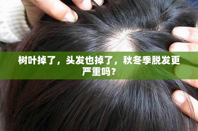 树叶掉了,头发也掉了,秋冬季脱发更严重吗? 树叶掉了,头发也掉了,秋冬季脱发更严重吗?