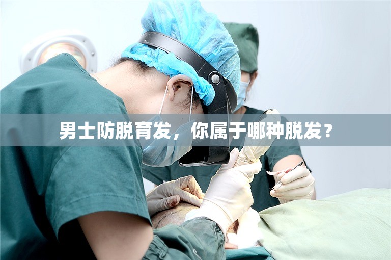 男士防脱育发,你属于哪种脱发? 男士防脱育发,你属于哪种脱发?