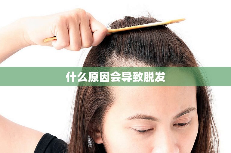 什么原因会导致脱发