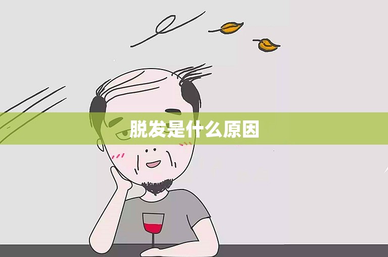 脱发是什么原因